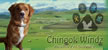 Chinook Windz Healthy Pet Supplies